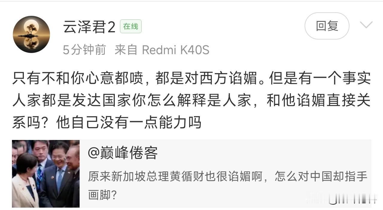 这些人总是把西方国家或者崇尚西方国家的领导人当做“圣人”，所以他们受不了新加坡总
