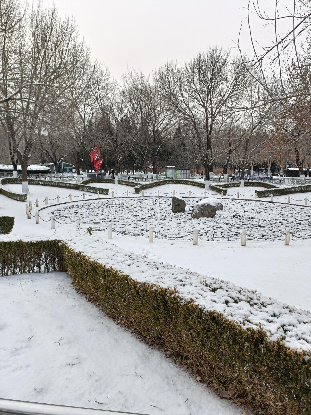 雪后的朝阳公园，看哪都美，真好看