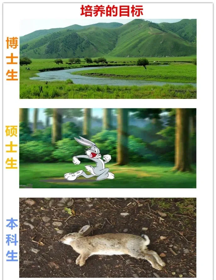 博士硕士本科的区别