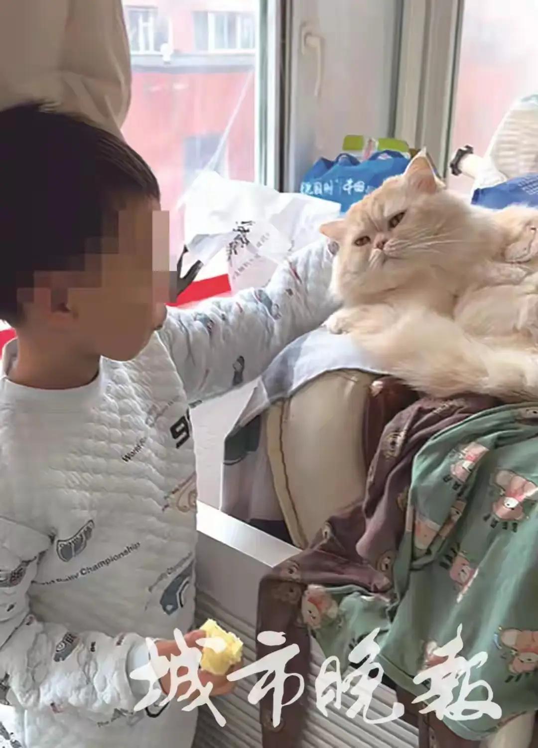 长春icon姐弟俩被遗留在托管班两年，母亲去世、父亲失联，托管班急寻孩子父亲为他