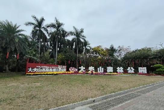 广州大夫山森林公园骑行