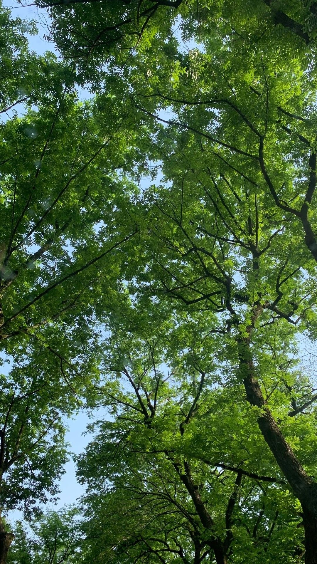 ⠀ 