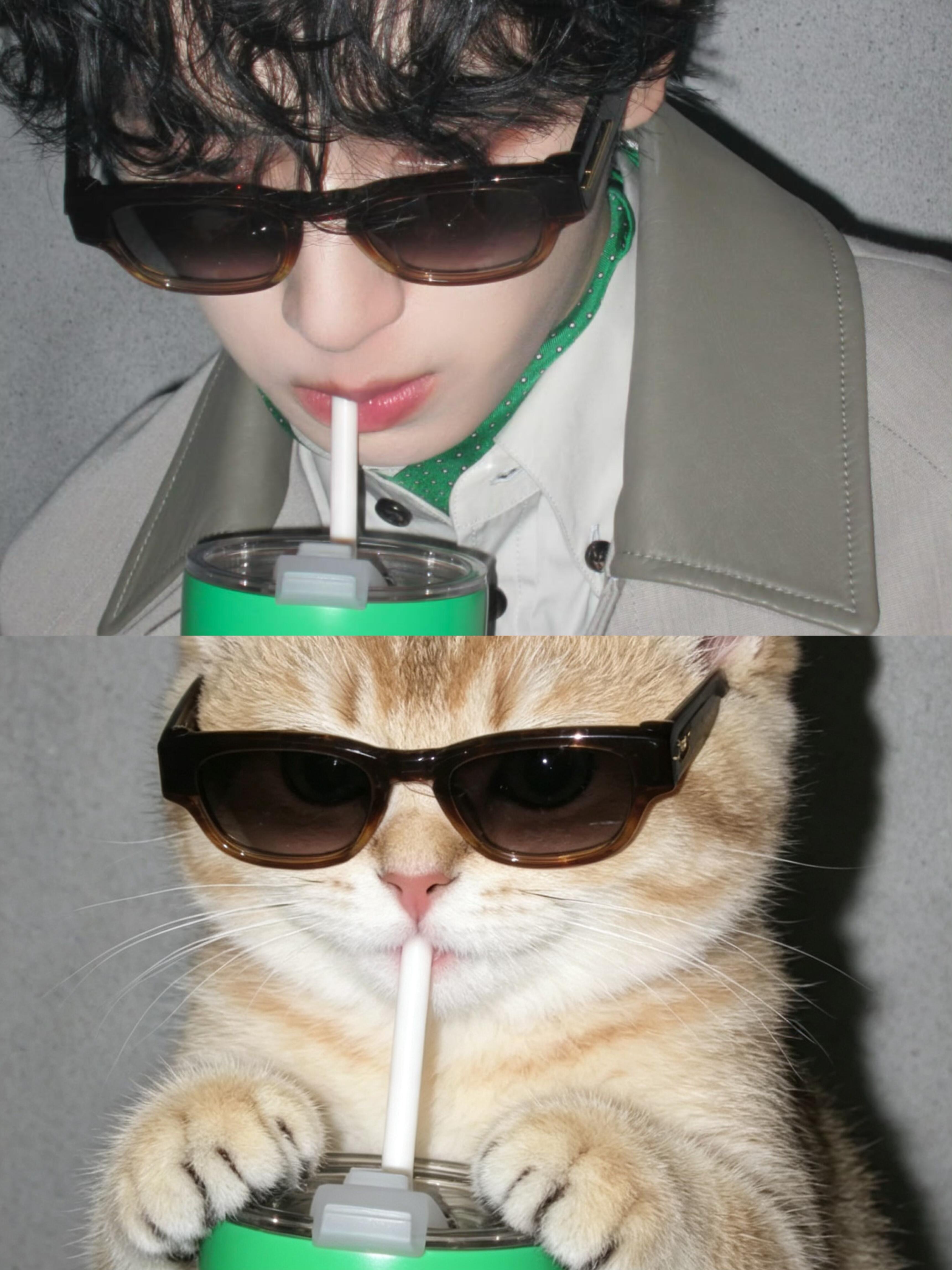 严猫猫～[奶牛猫] ​​​
