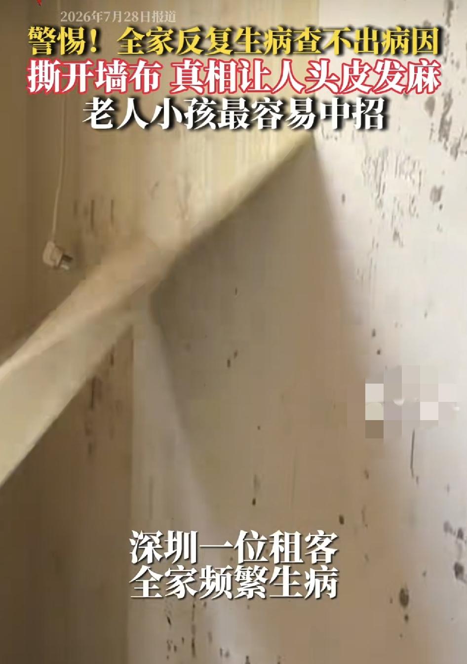 深圳有网友称在出租屋内入住，全家人反复生病却找不到原因，直到最近暴雨的天气频发家