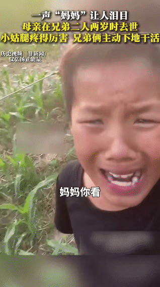 一声“妈妈”，看哭多少人……
 
父母意外离世，留下这对仅2岁的双胞胎兄弟，是姑