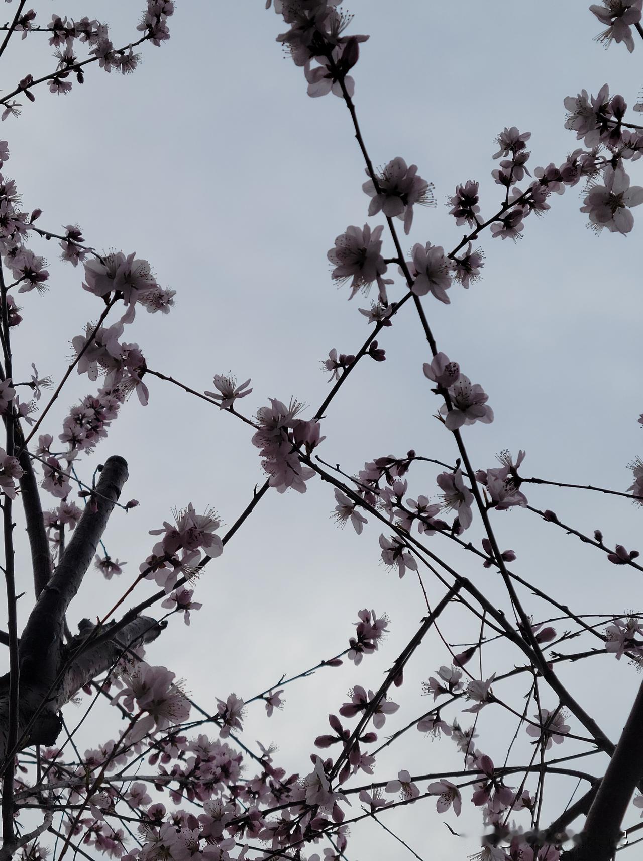 香港中文大学读硕士期间，也是有奖学金的，我才知道。昨天我儿子跟我说的，根据绩点。