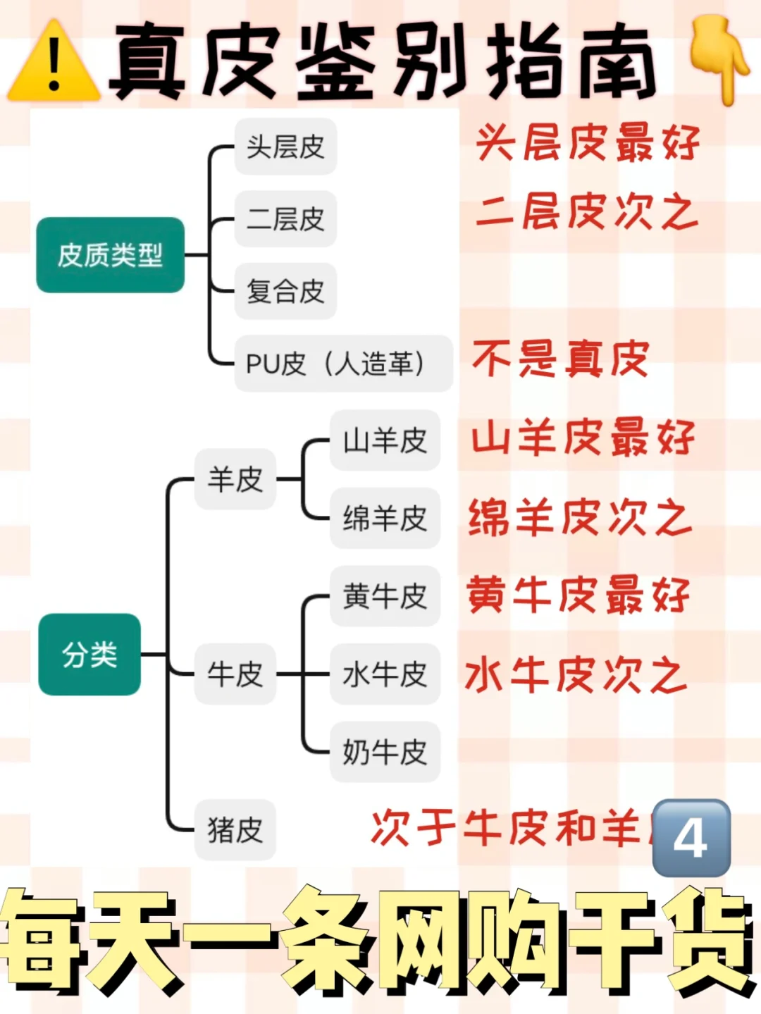 🔍🤔如何区分真皮❓拒绝被骗❌拒绝踩雷🙅‍♀️