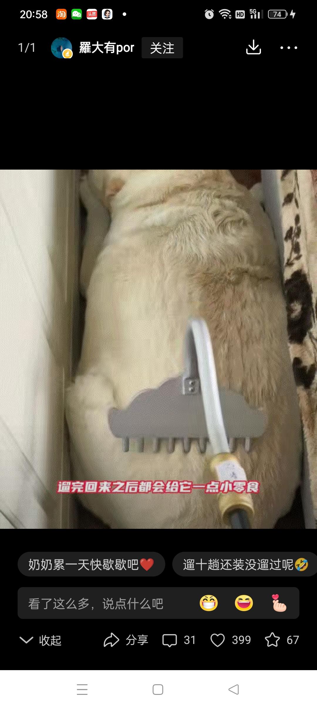 成精了！江苏，一奶奶记性差，每次出门遛完自家狗子后，都会给狗子零食吃。这家中狗子