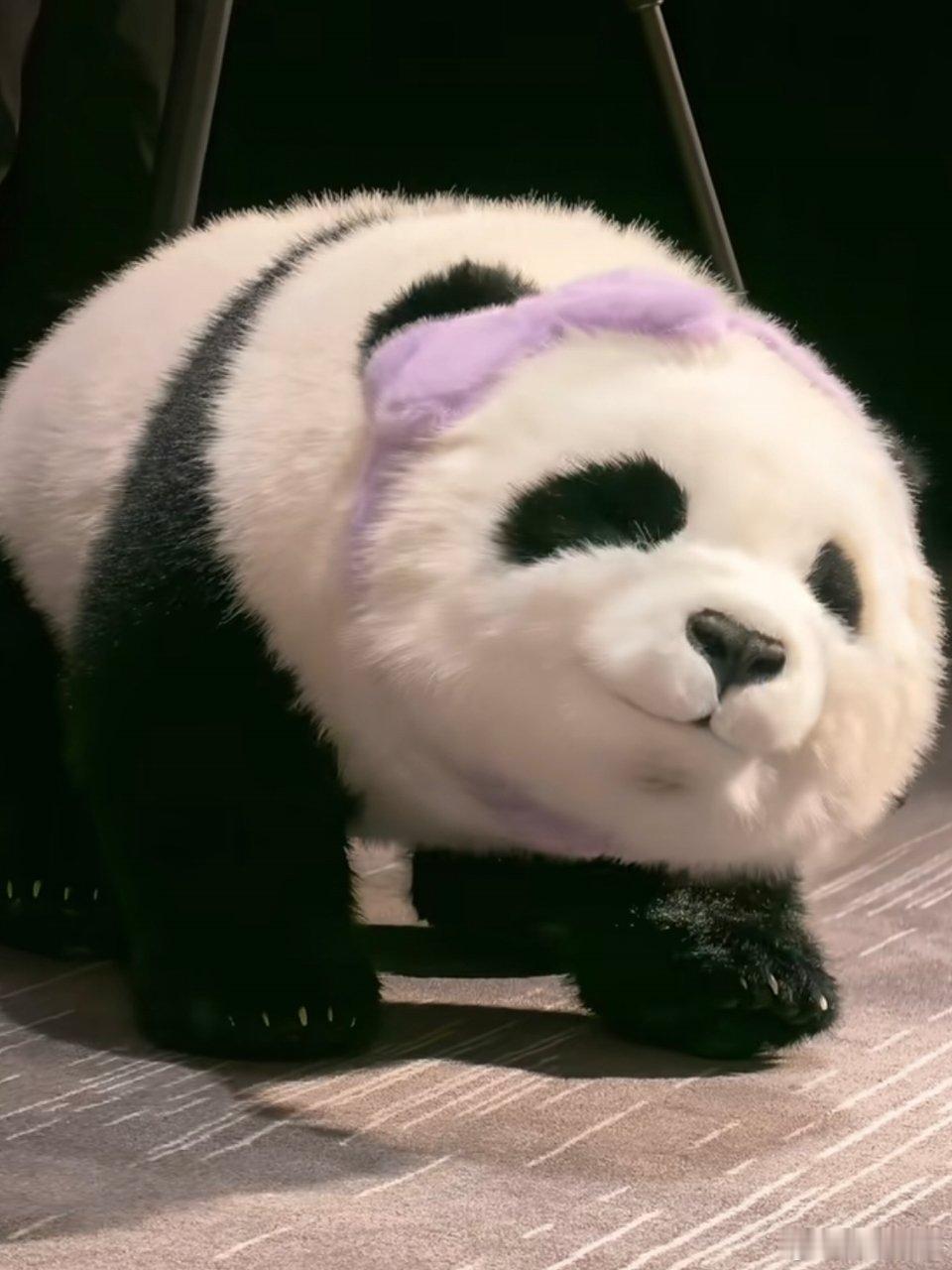 北京网友5.7万拍下春晚同款熊猫机器人春晚同款熊猫机器人以5.7万元拍出好好好，