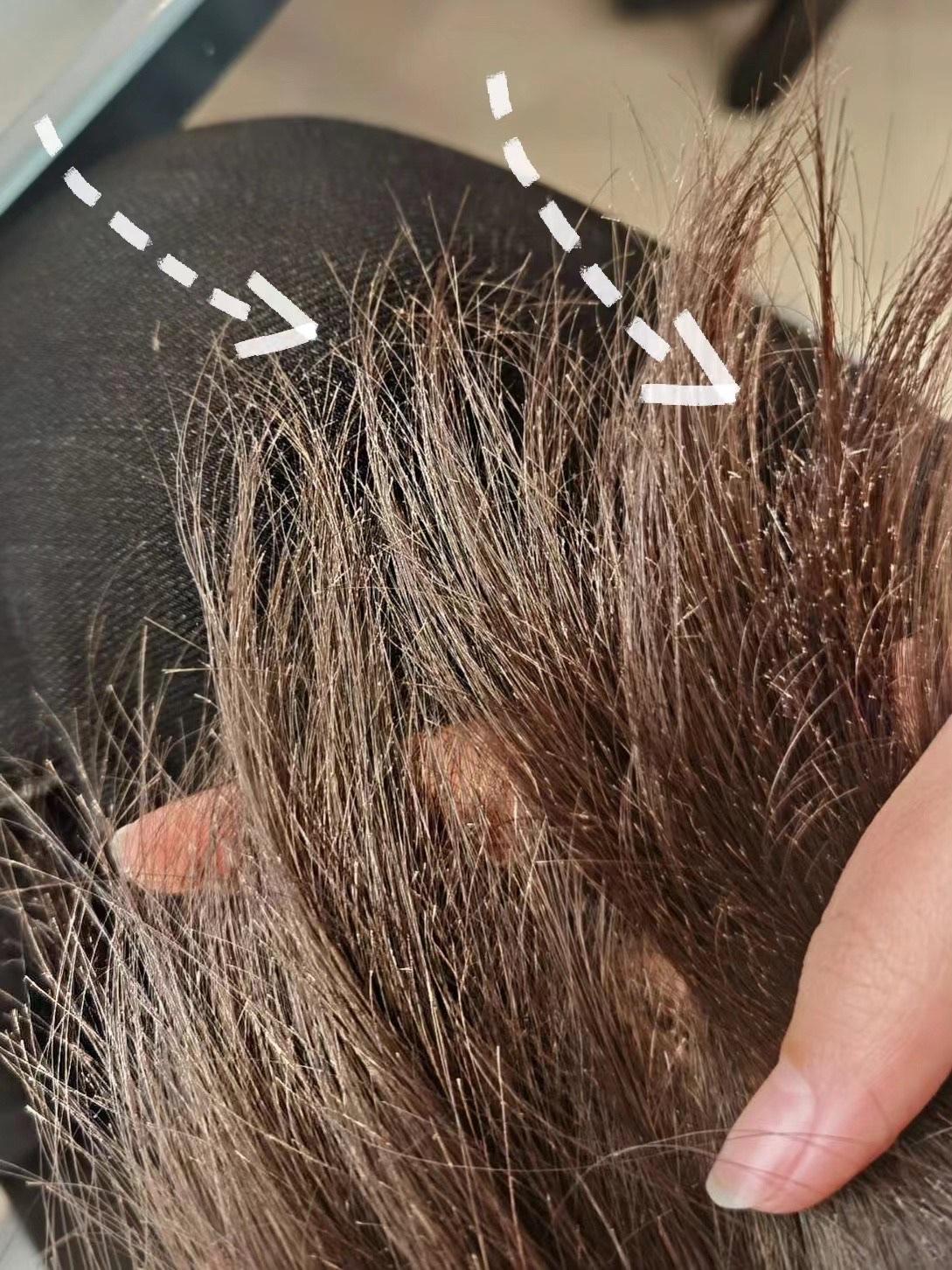 头发开叉其实是种病！90%的人都在瞎护理，难怪越养越糟

你是不是也有过这种崩溃