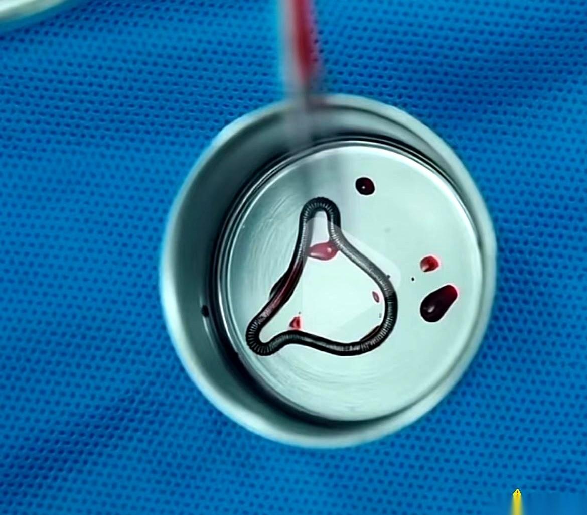 我有时候就琢磨啊，这事儿真有点想不通。
一个女人，怀胎十月，孕吐、水肿、耻骨痛，