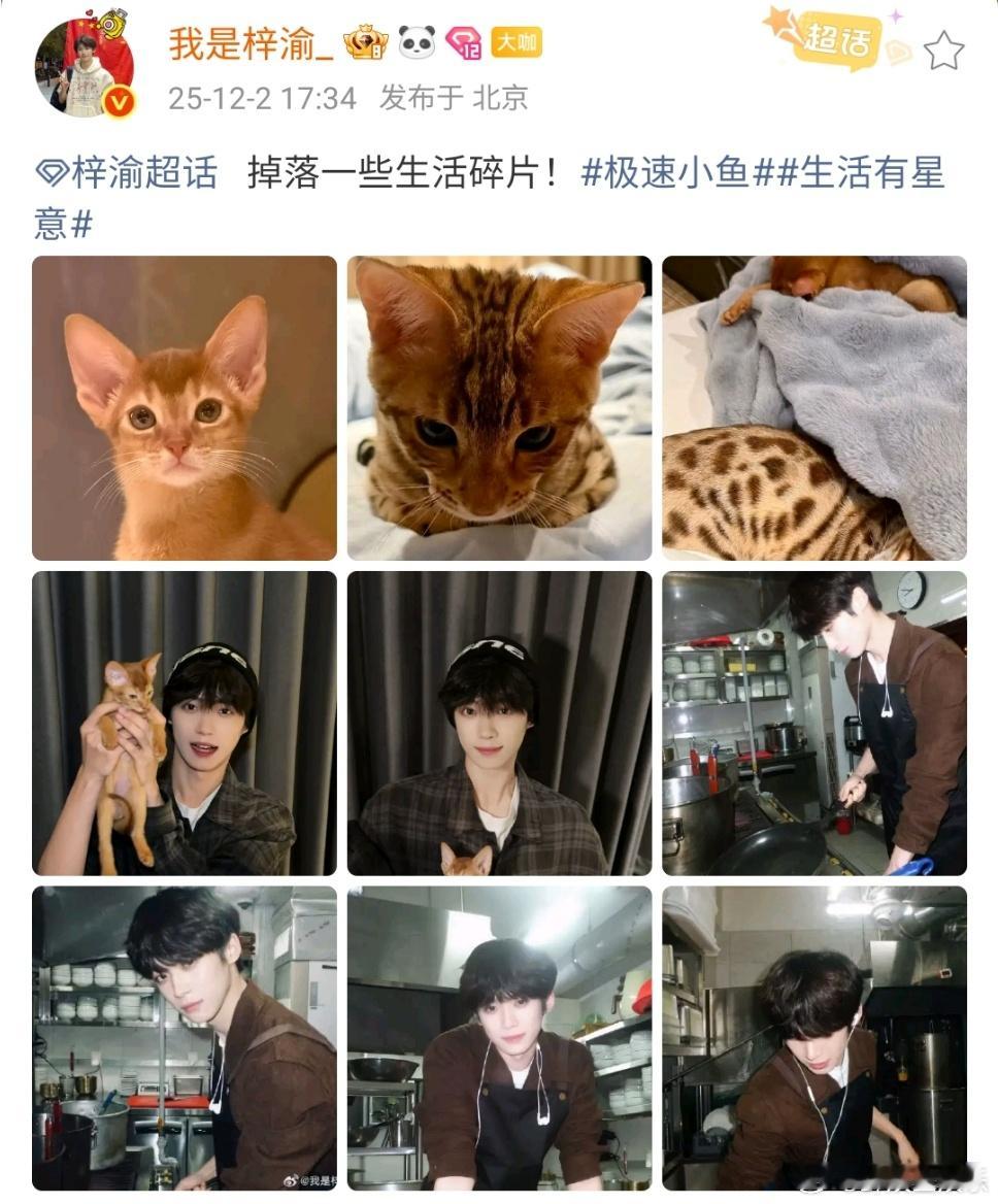 梓渝掉落一些养猫碎片梓渝拍的大鱼和小十一我们孩子也是成为猫奴了梓渝终于养猫了