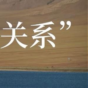 情感语录 很多人把爱等同于陪伴、付出、牺牲 但真正深刻的爱 是看见对方还没长出来