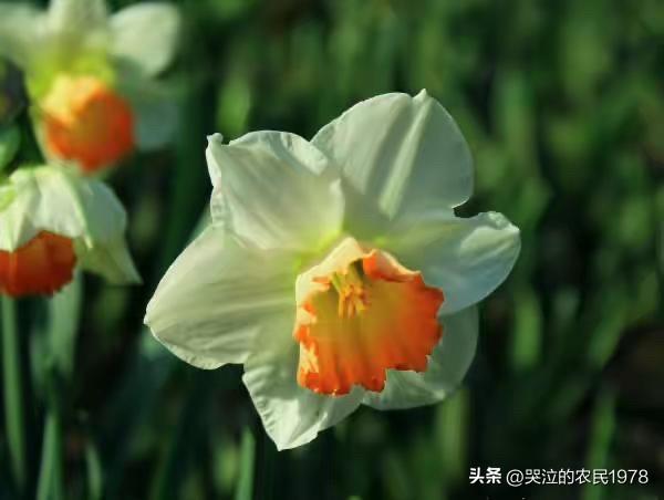 今天又有客户来看我们厂。说实话，我们厂有什么好看的？几十个人的小厂，能有什么实力