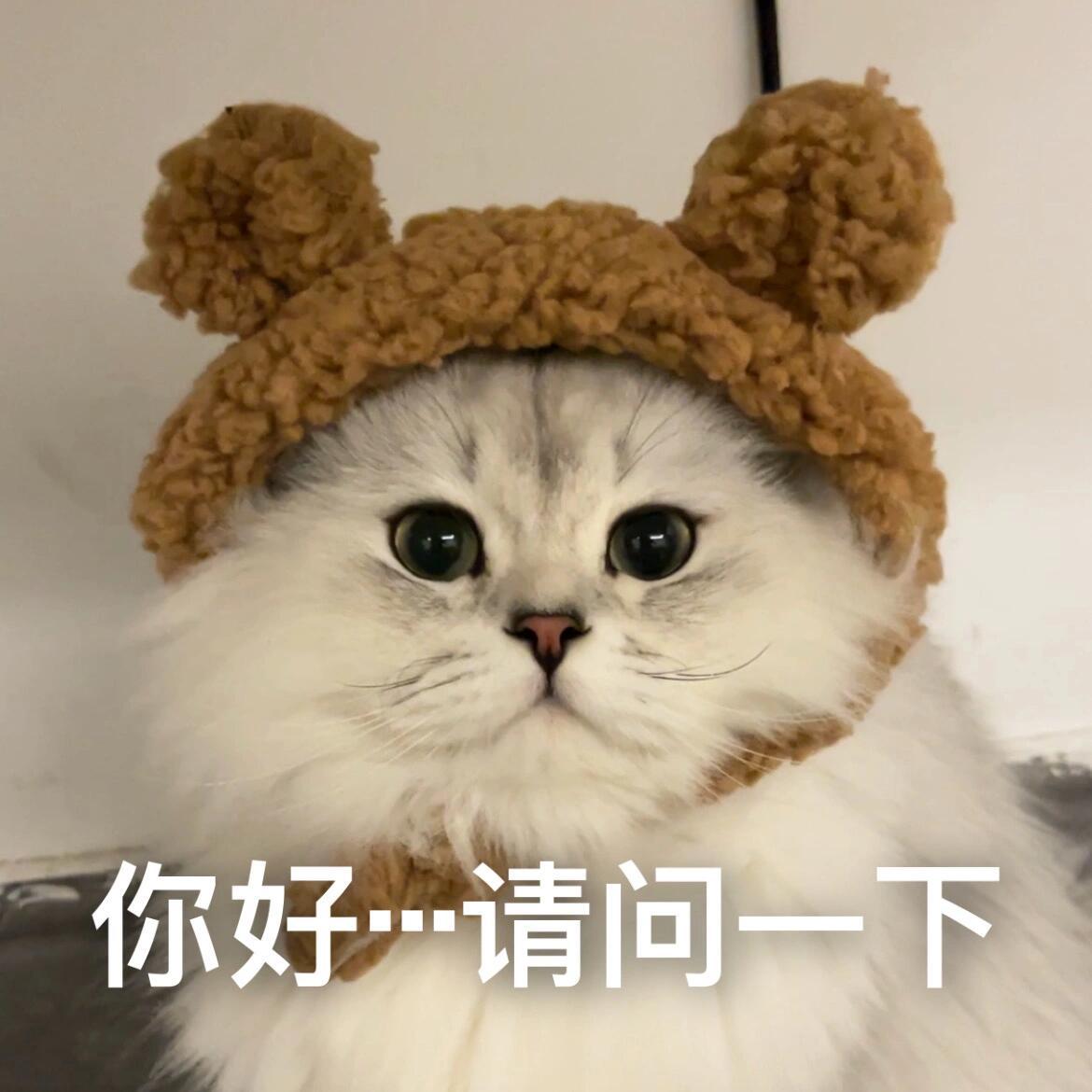 富士回应一张撕拉片被炒至300多元看富士这么回应，撕拉片估计不会重新生产了。撕拉