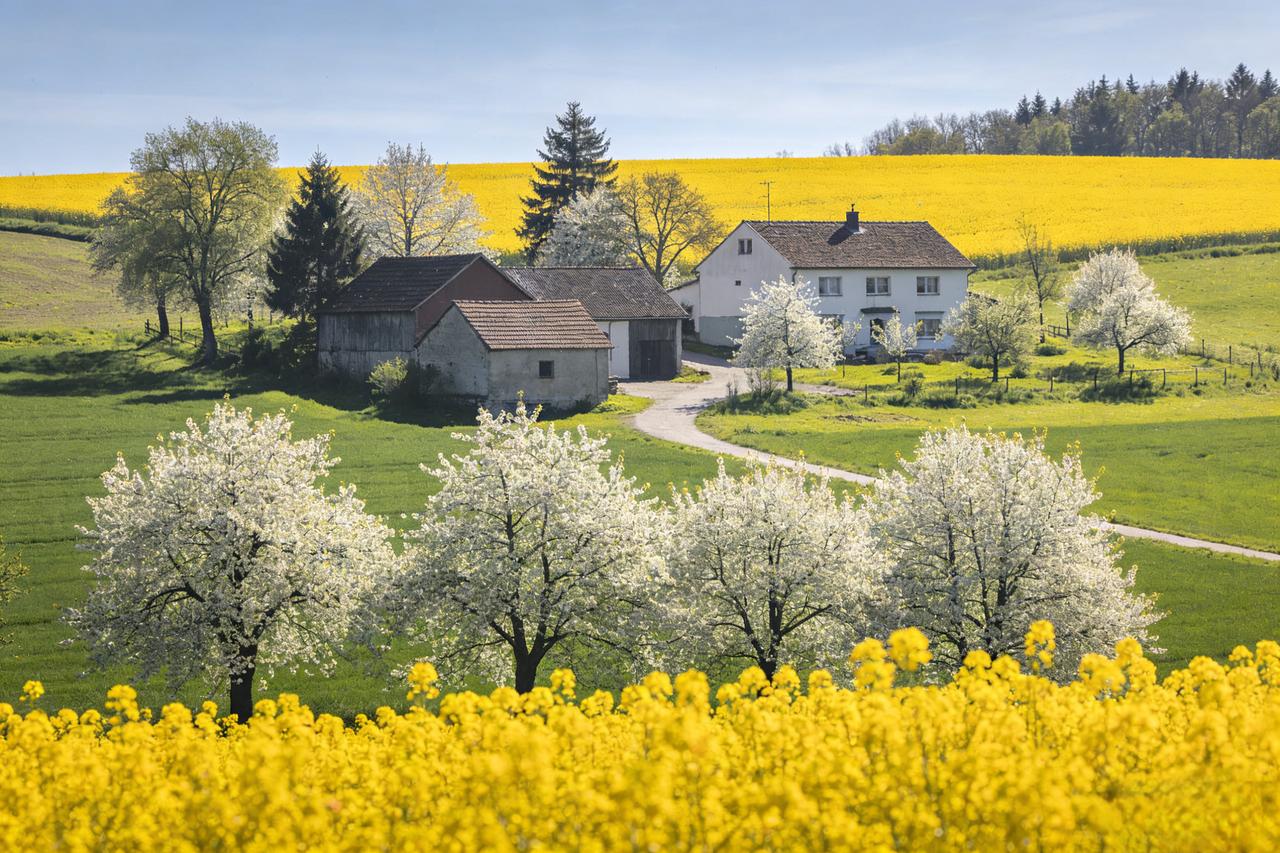 有人说：
“当你真正生活在农村的时候，你才不会羡慕农村的生活。因为农村并不是你想