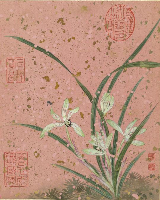 【五色洒金笺绝版花鸟！蒋廷锡进献御册，野花竟写满家国心机】
清宫一众书画册页里，