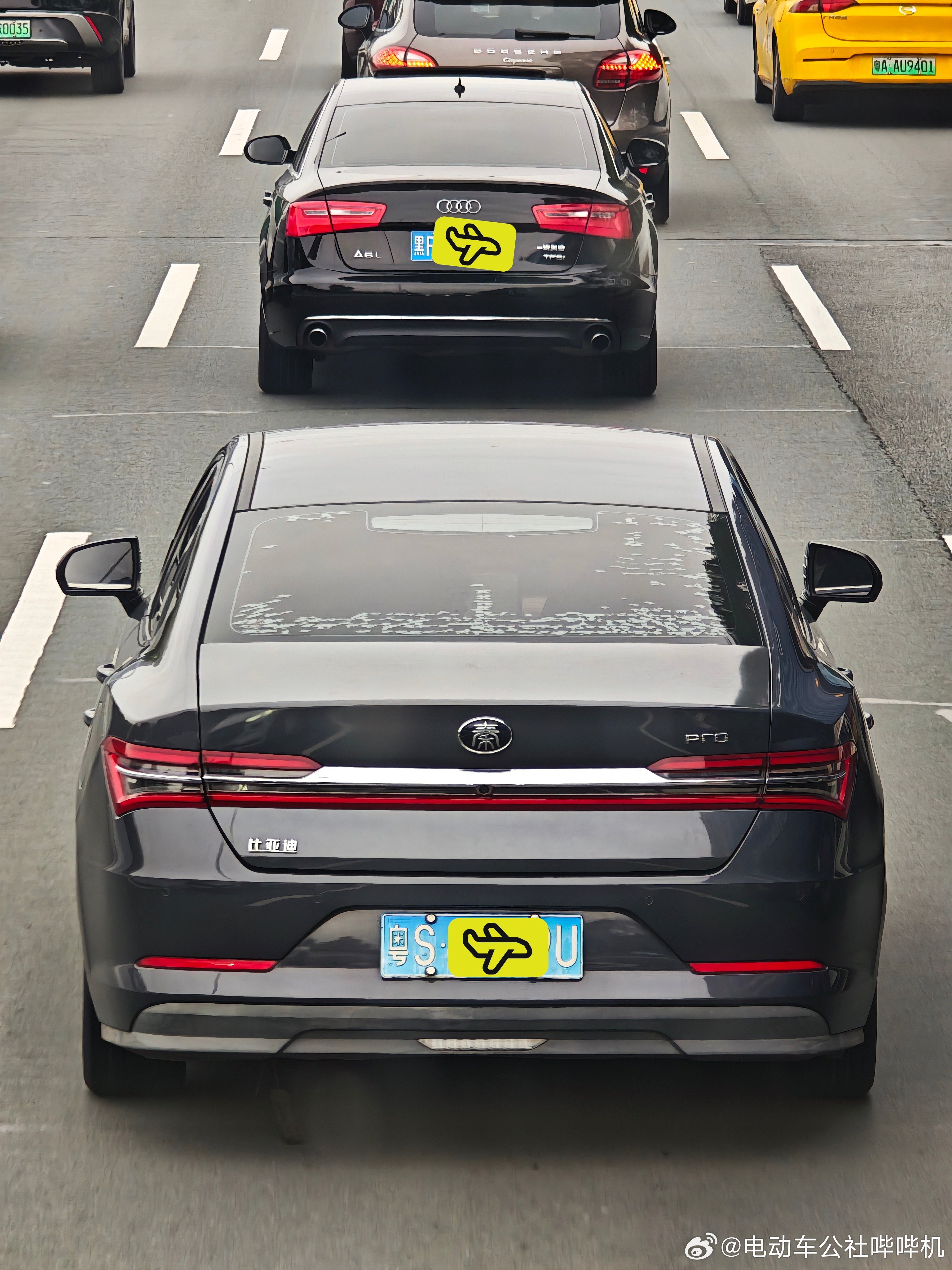 蓝牌的秦pro也是够少见的