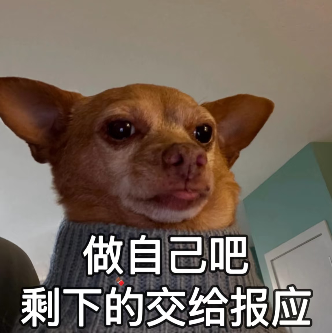 我决定换苹果手机了平时倒还好，一坐动车或地铁就特别明显，周围人不是打游戏就是刷抖