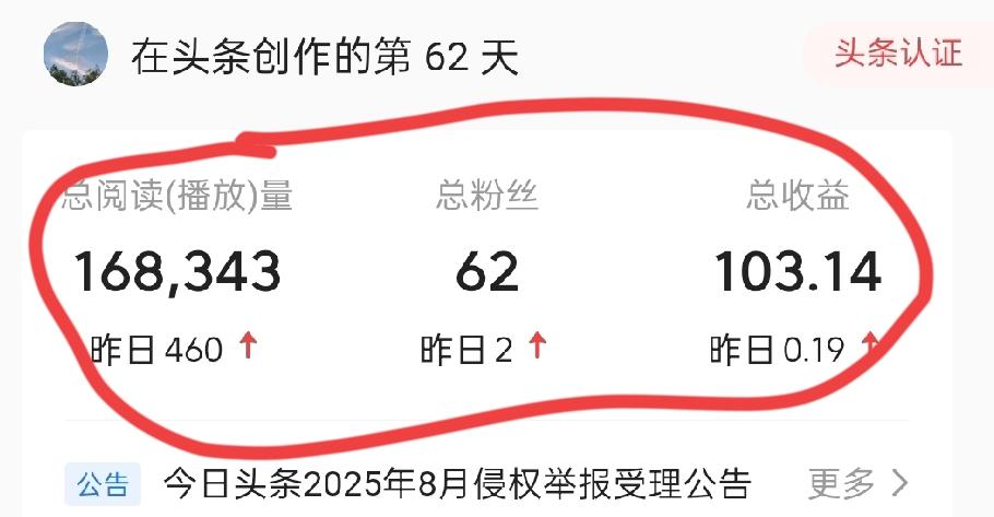 今日头条第62天：写了300多篇，收入102块，这正常吗？

各位友友们，大家晚