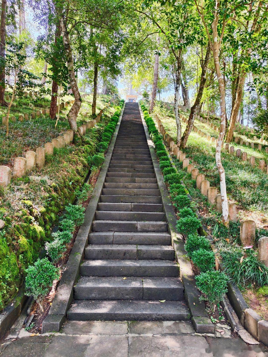 记忆永存 ​​​