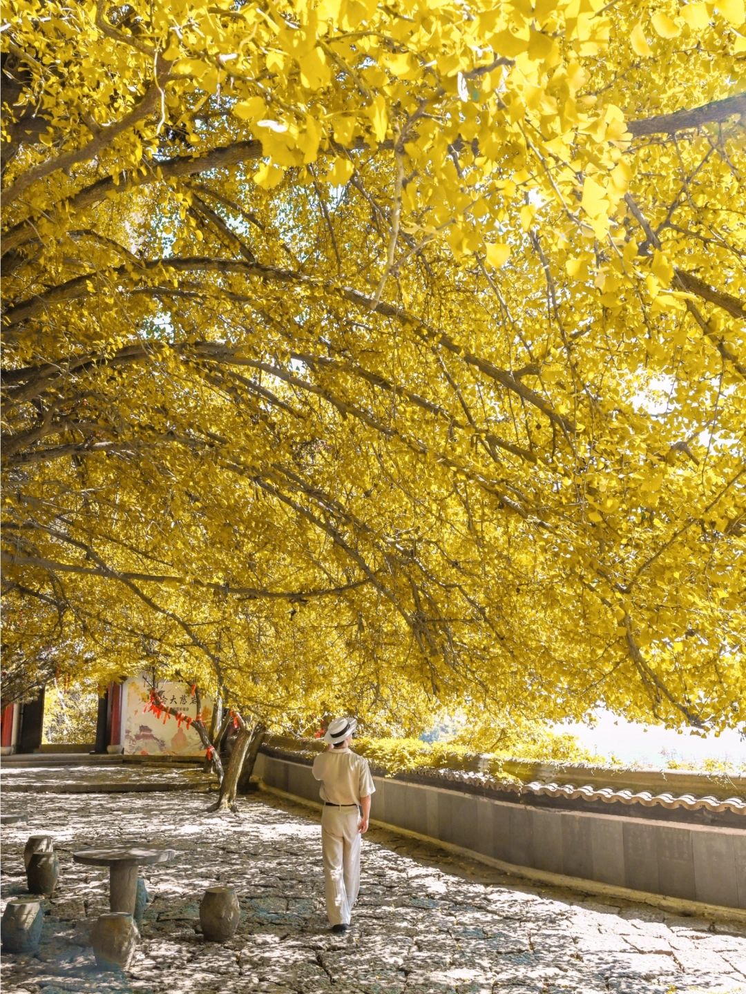 比起热门景点，我更爱建德这两处神仙地‼️