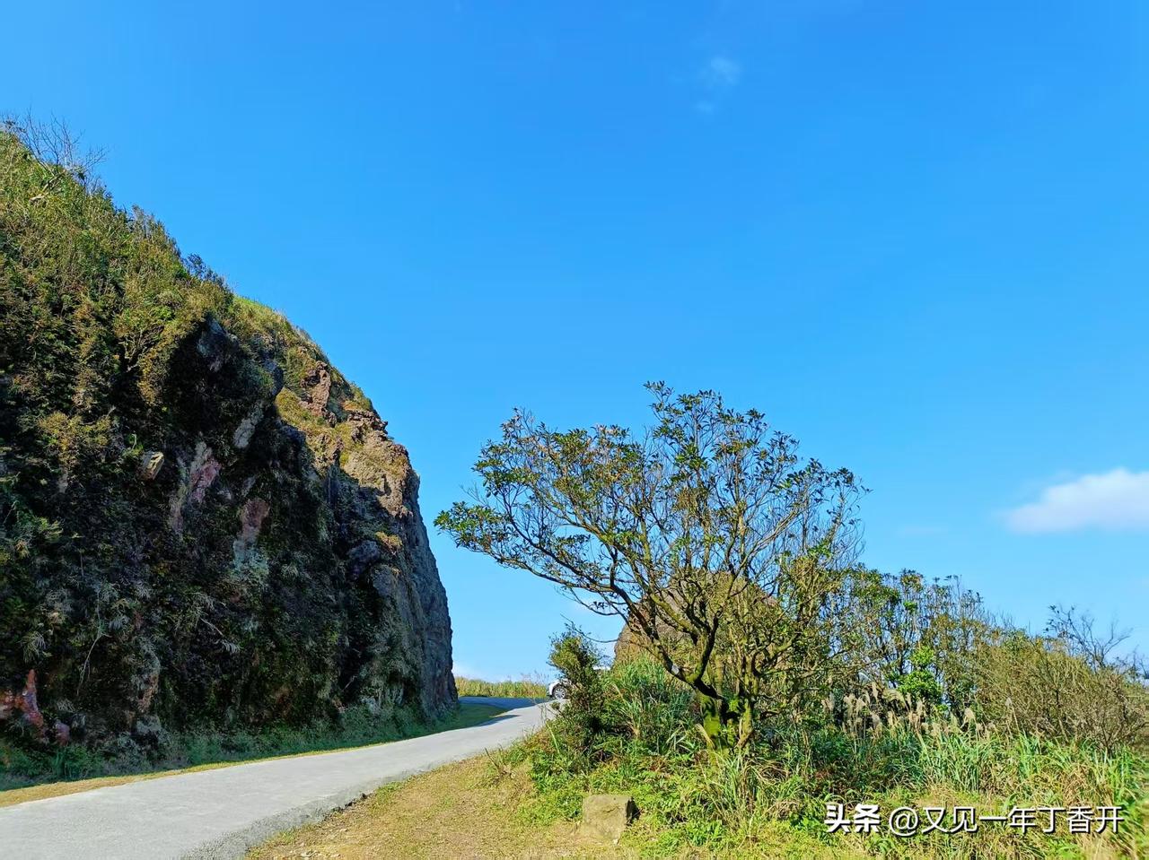 今天我也接到这个4008201758的诈骗电话

这段时间本来挺好，诈骗电话销声