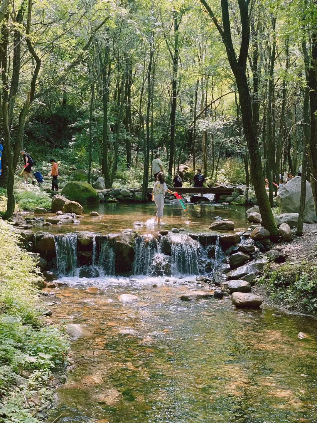 北京团建方案🚗延庆玉渡山高山草甸露营烧烤