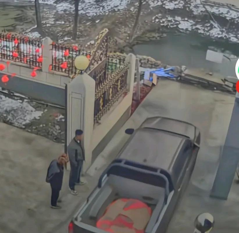 女子想试试车子，结果万万没想到，直接一脚油门把车开进了池塘里，身后的家人慌张地冲