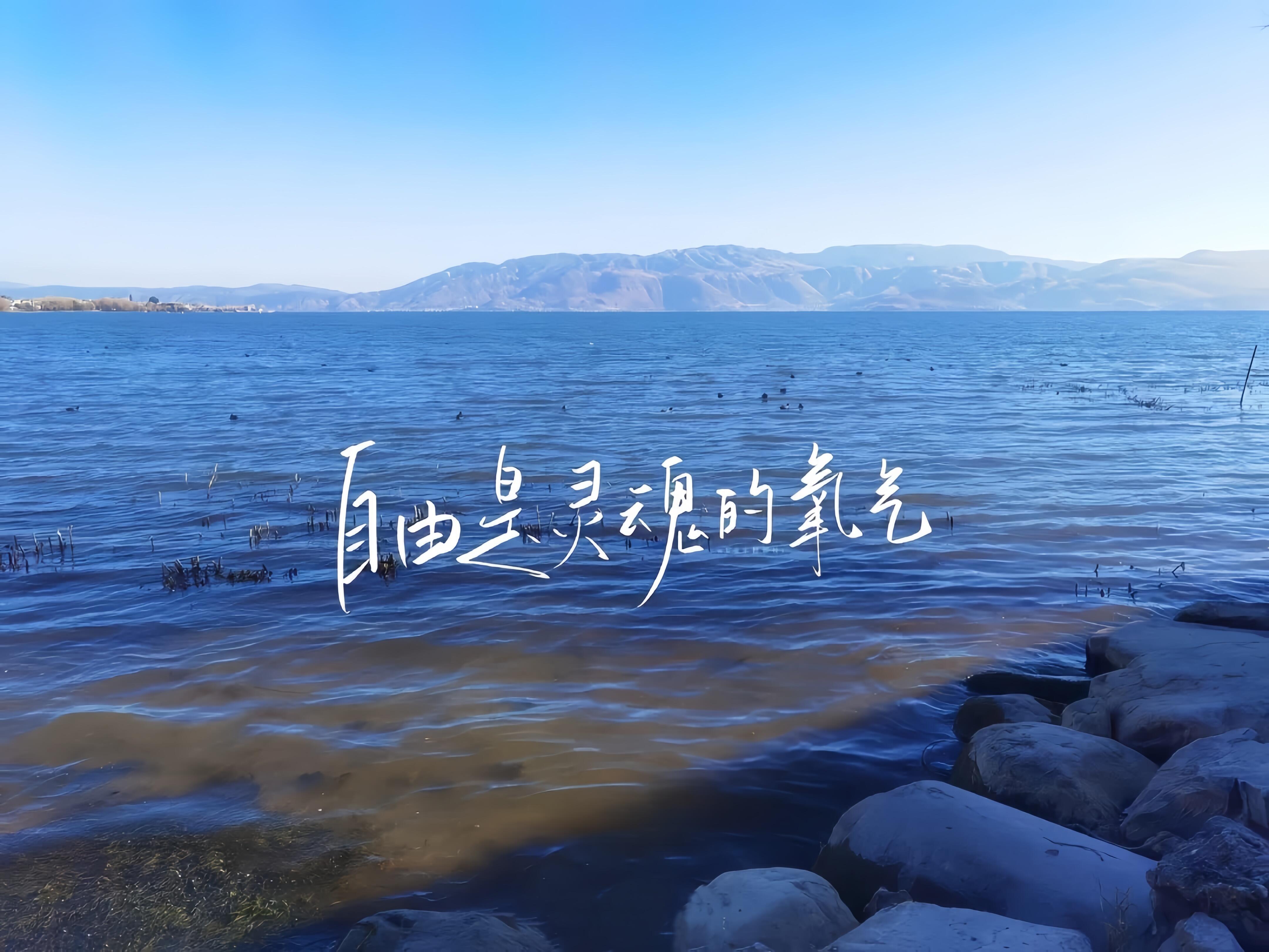 平板壁纸分享｜考公壁纸｜ipad高清壁纸｜超清无水印壁纸｜上岸 