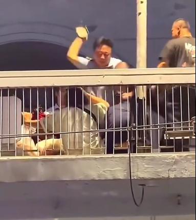 这市城管天桥殴打小贩被路人拍下！

根据武汉警方通报，涉事的3名协管员金某、严某