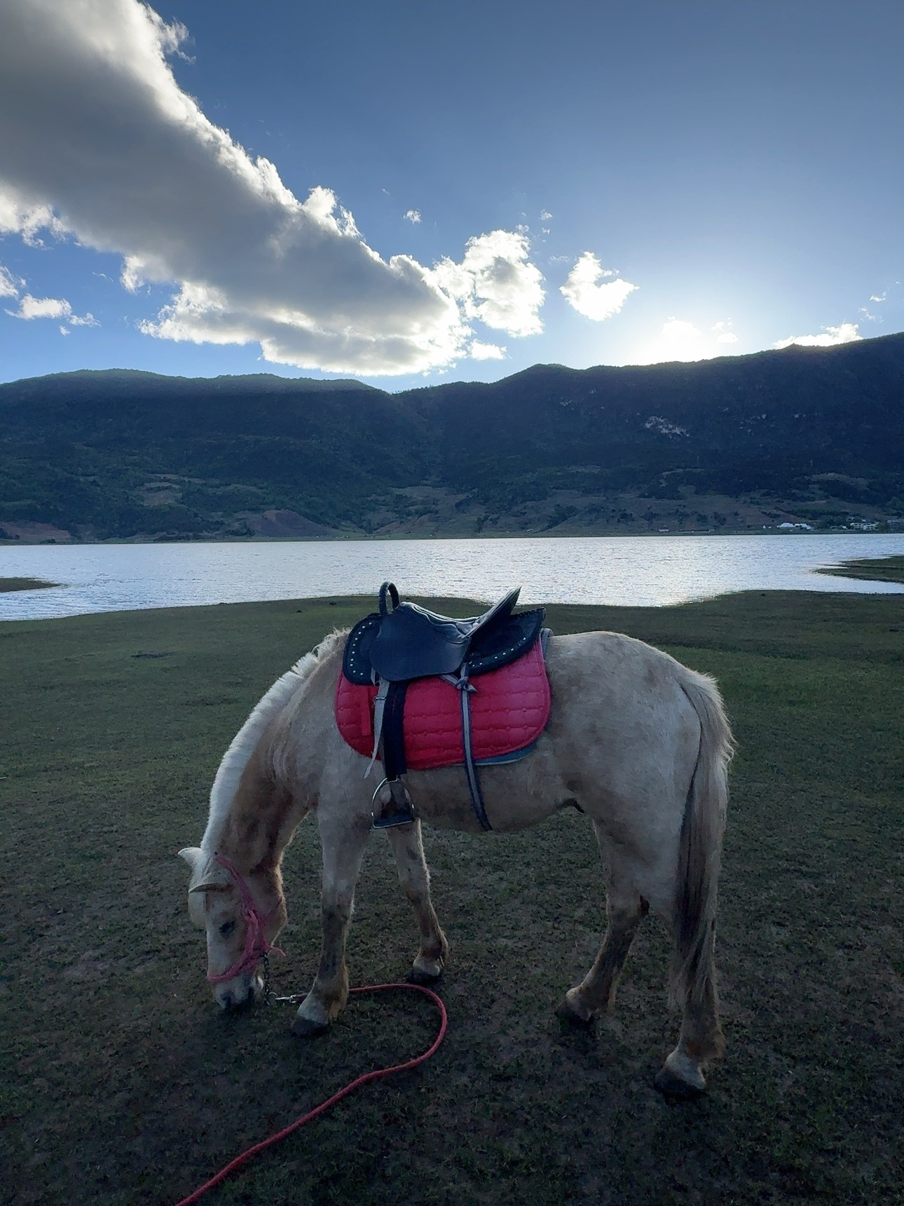 标记一处🏔️和🐎 丽江