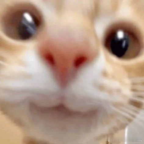 #奥运周边水灵灵地吸引了全红婵# 全红婵妹妹拿到奥运周边那一刻，眼睛都亮了，这简