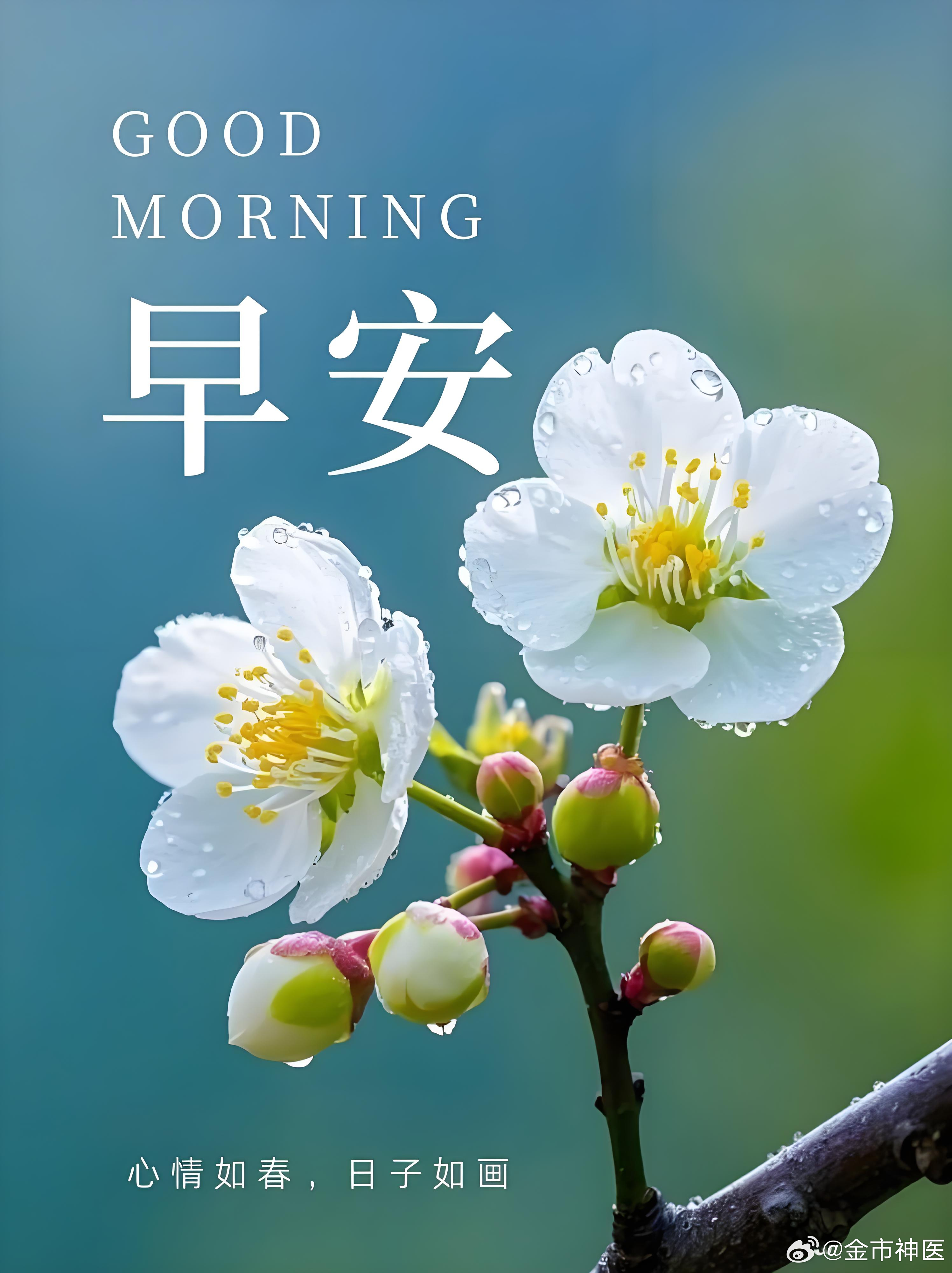 市场如长河，机会永续，而渡河之要，在于等风平、择良时。不必随波逐流，稳住心就是稳