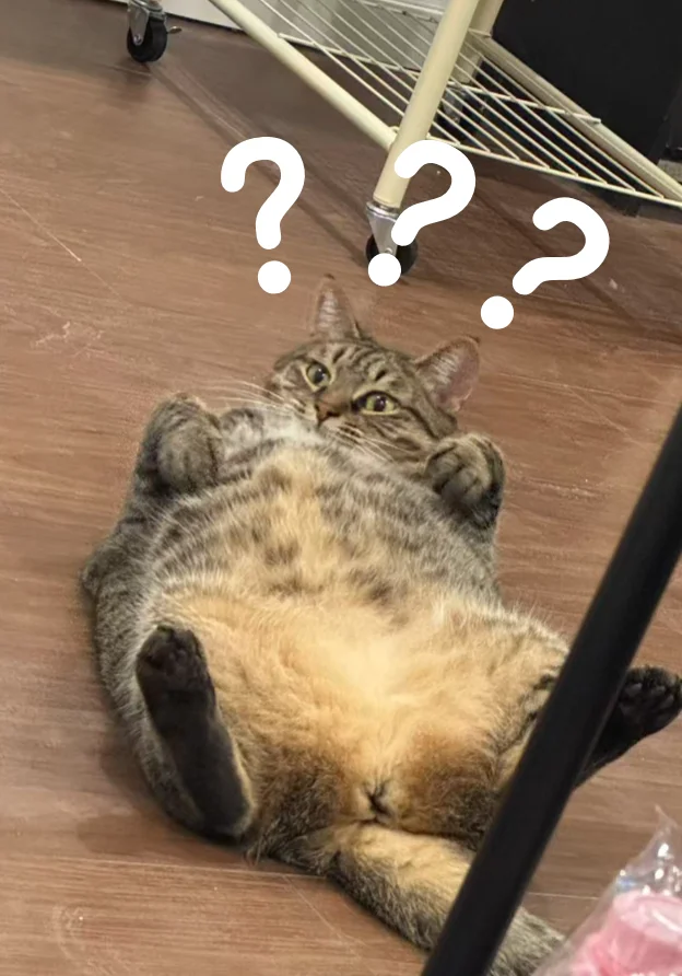 什么！？这就要上班了？