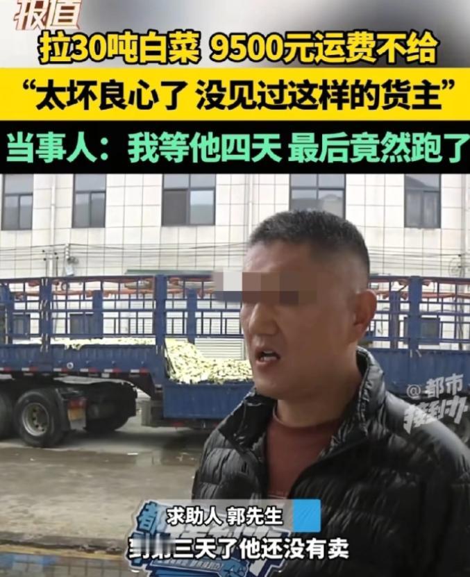 脸都不要了！11月9日，河南，一男子从内蒙订了30吨白菜，并承诺到时给货运司机9