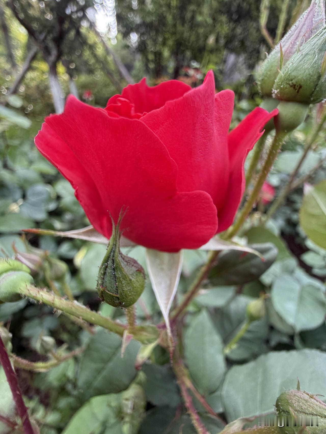 同学聚会最大的“悲哀”是什么? 
【小对联】
上：……？
下：待发。