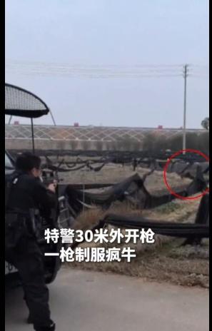 这样决策果断，行动神速的民警队伍，是守护群众生命财产安全的坚实依靠