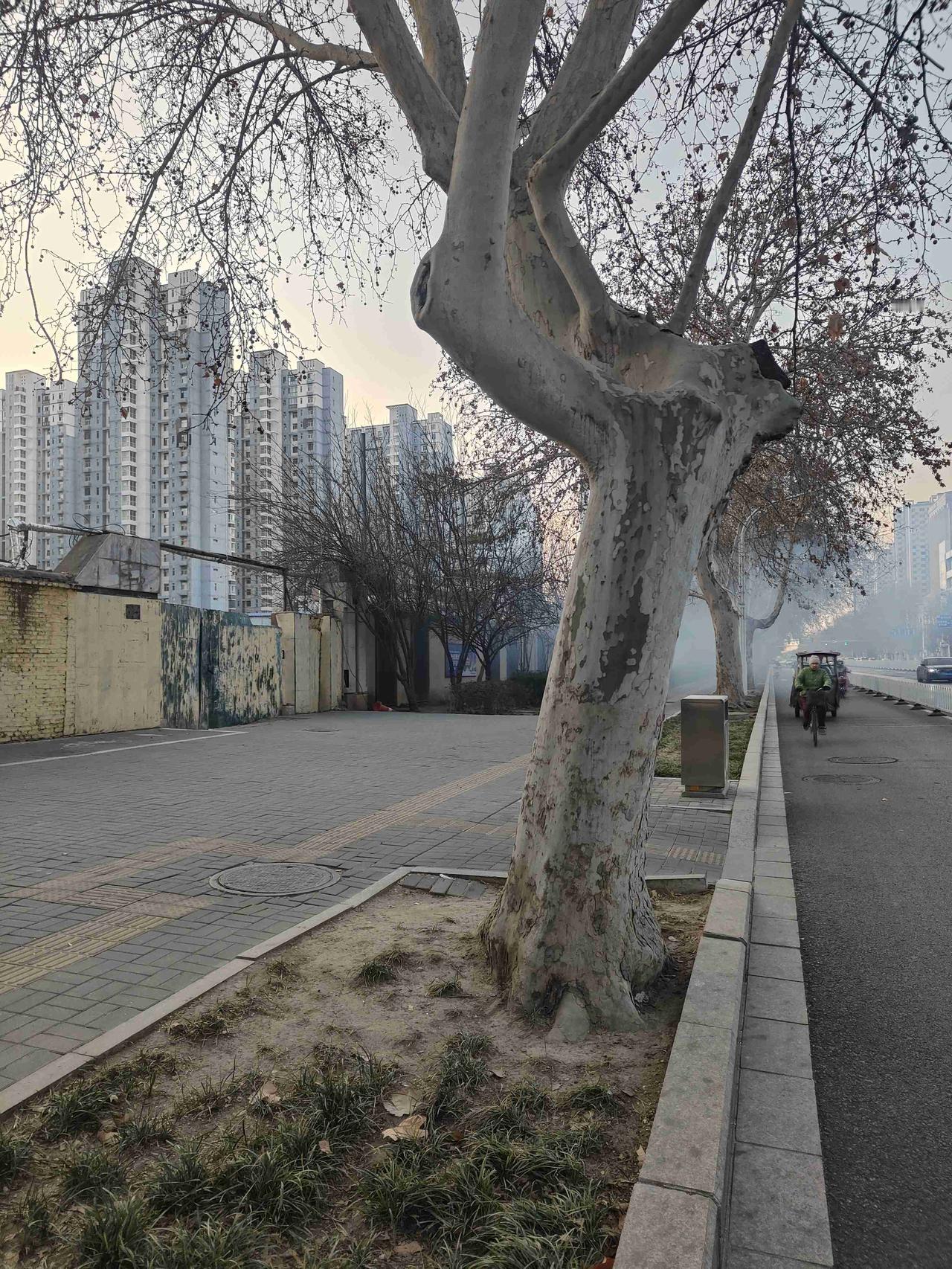 我的今日状态：开始运动
我这里的天气：☀️晴天