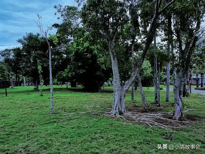 公园是城市喧嚣中的净土，藏着无数美景。之前去了南翠屏公园，它交通超方便，地铁6号