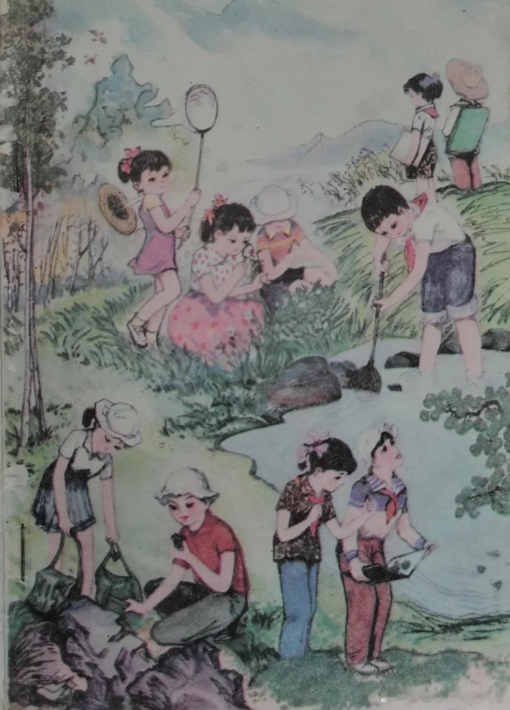 90年代的小学自然课本 