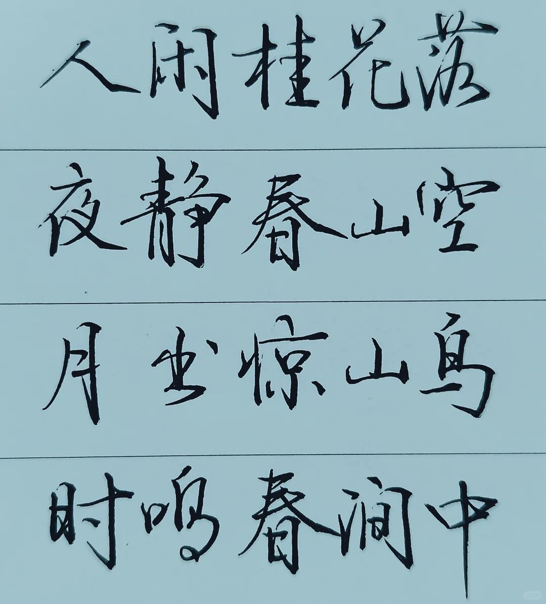 硬笔书法之美