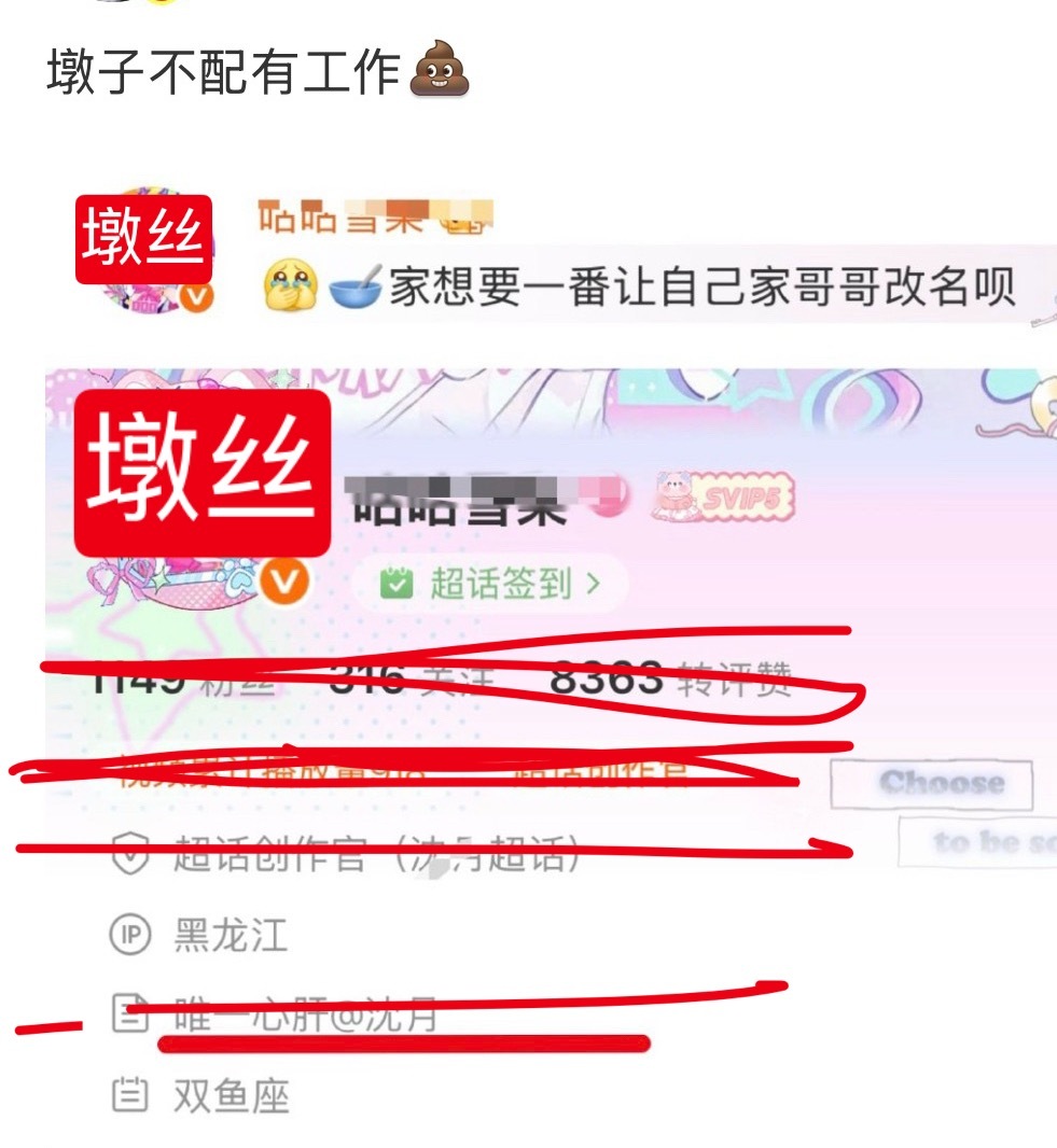 墩子不配有工作我又不在乎伤耗 我连红V都是墩子送的，取之于墩，用之于墩。