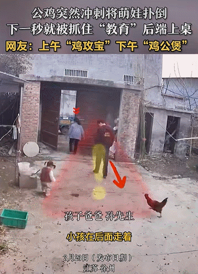 上午“鸡攻宝”，下午“鸡公煲”——这句网友神评，把徐州孙先生一家的事说透了。
