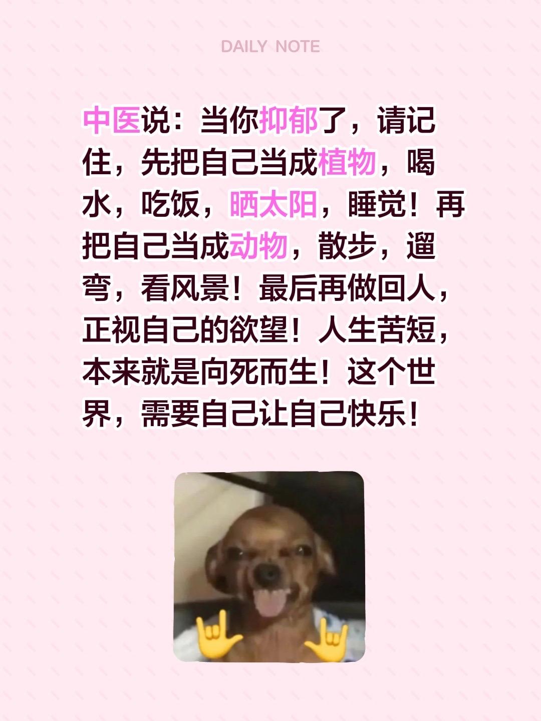 中医说：当你抑郁了，请记住，先把自己当成植物，喝水，吃饭，晒太阳，睡觉！再把自己