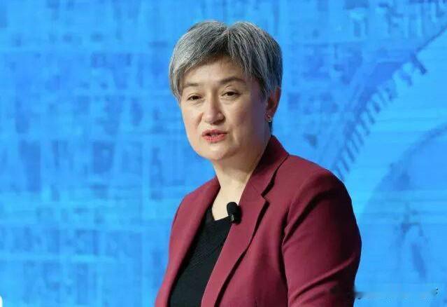 站在菲律宾！澳外长一语惊人：承认中国军力，但要中方“澄清报备”一下


在菲律宾