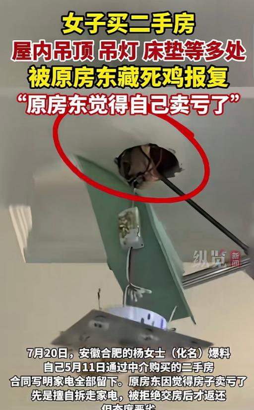 “玩不起！”安徽合肥，一女子在中介买了套二手房，合同白纸黑字写着“家电全部留下”