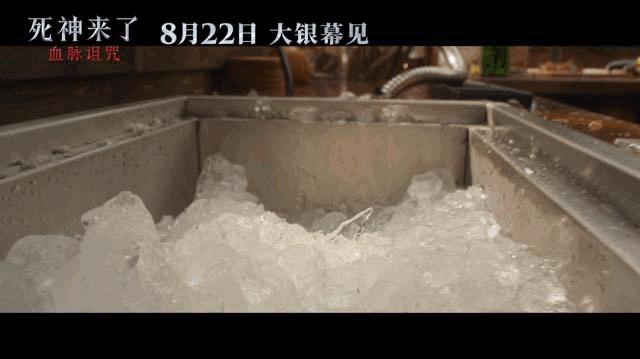 死神来了6定档死神来了家人们谁懂啊！《死神来了6》首次引进内地，8月22日上映。