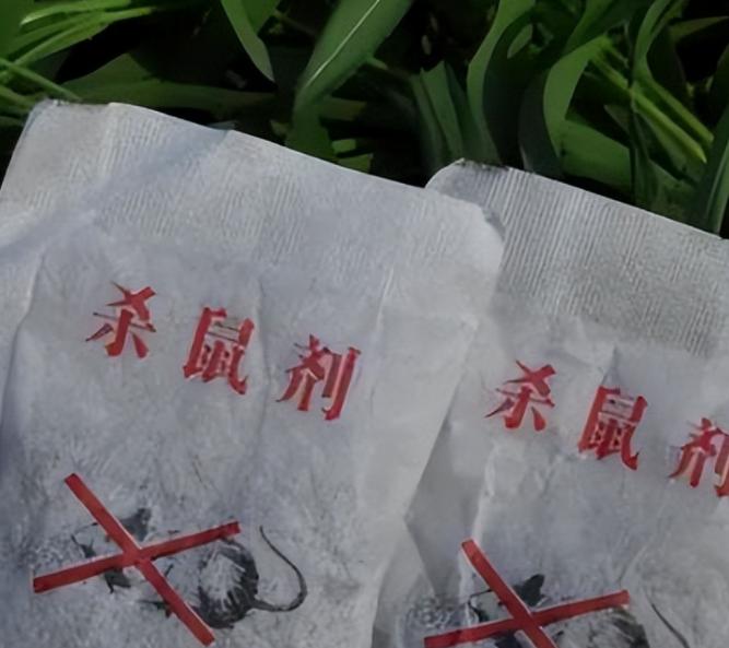 春节前夕，一则离奇命案的消息如同一颗炸弹般在河北某小镇上引爆。偷窃者偷吃了大爷家