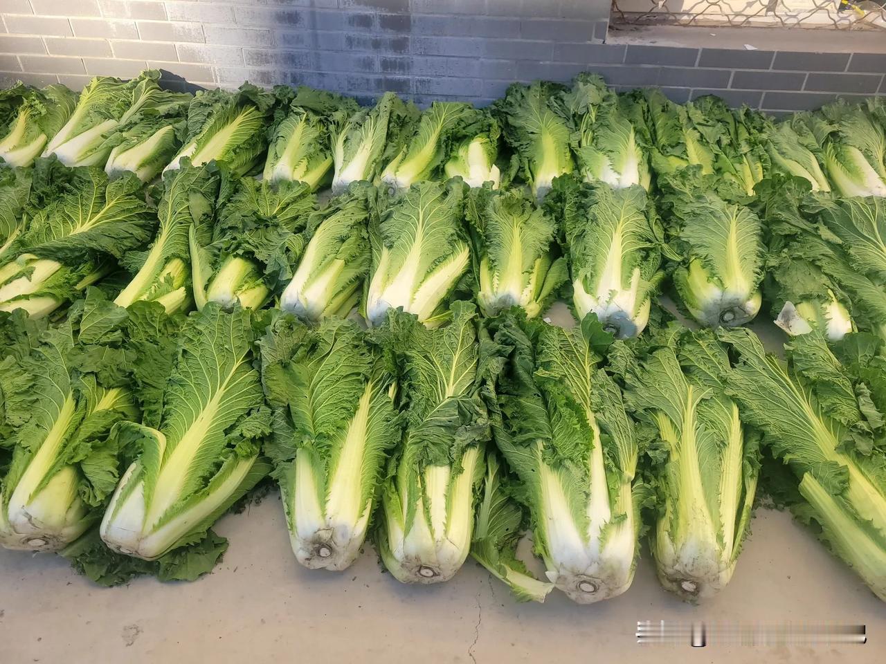 县城生活成本低，幸福指数却很高。明天返程，我在老家的菜市场买了很多蔬菜，看啥都想